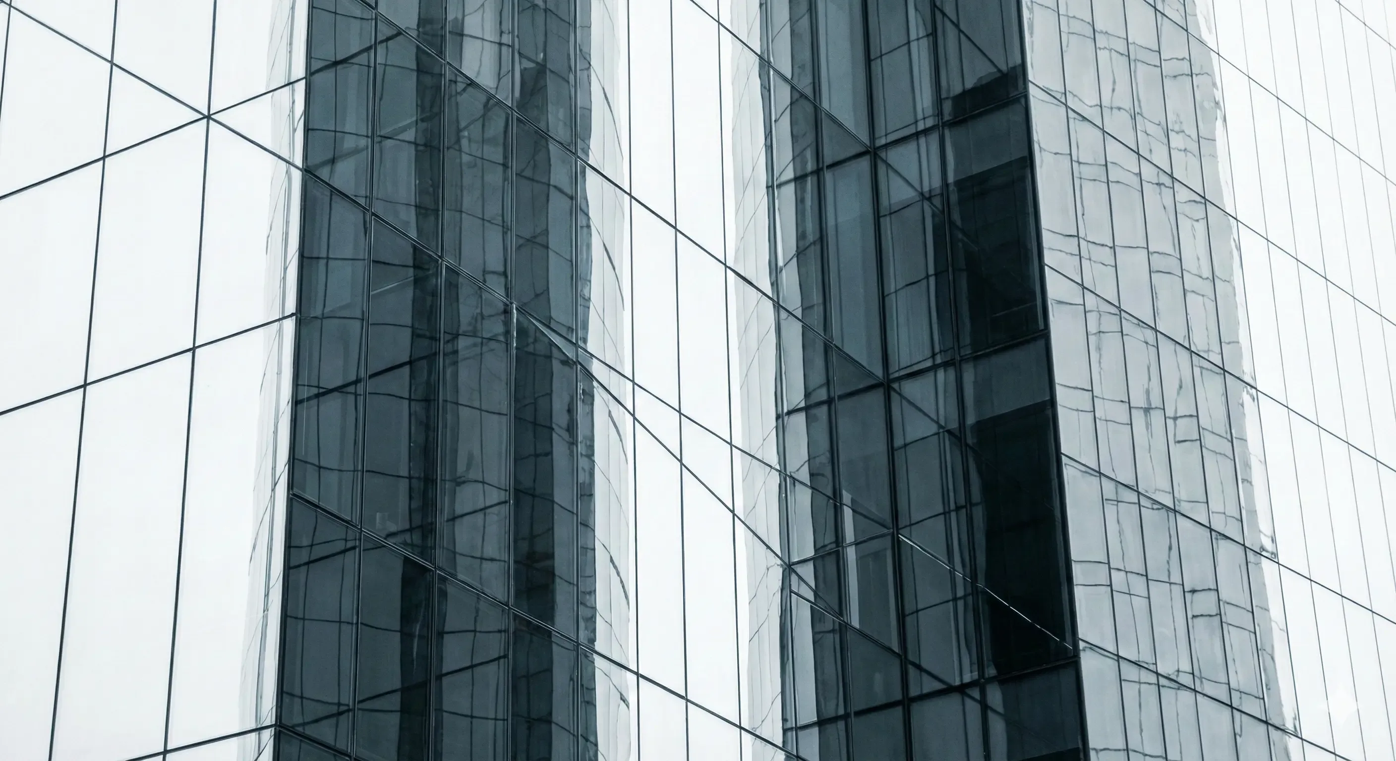 IT contractor reviewing financial data with accountant